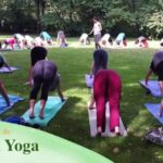 Centros de Yoga al Aire Libre en Moraleja de Enmedio