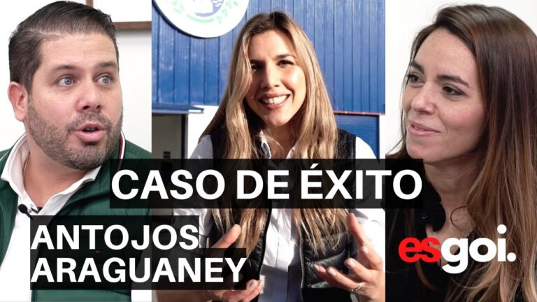 Guía para Comprar Queso Artesano en Getafe