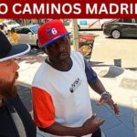Servicios Sociales Disponibles en M&oacute;stoles