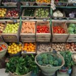 Gu&iacute;a de Compra de Productos para Cultivo Hidrop&oacute;nico en Moraleja de Enmedio
