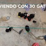 Guía para Denunciar Ruidos Molestos en Parla