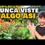 Gimnasios con piscina en Leganés: guía de ubicación