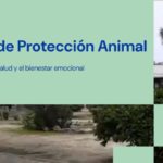 Gu&iacute;a Esencial sobre las Leyes de Protecci&oacute;n de Datos en Serranillos del Valle