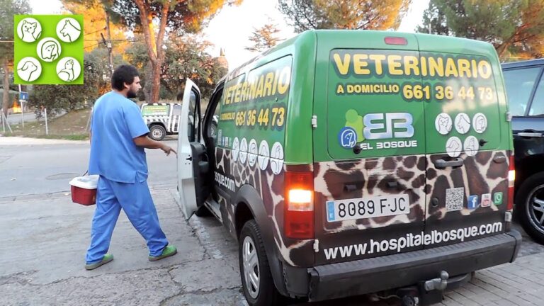 Cl&iacute;nicas Veterinarias en Moraleja de Enmedio