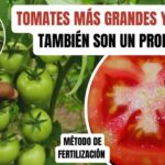 Gu&iacute;a para encontrar tiendas sin pl&aacute;stico en Serranillos del Valle