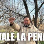 Calidad de Vida en Alcorc&oacute;n: Un An&aacute;lisis Exhaustivo